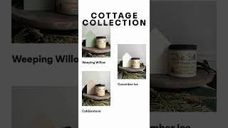 Introducing Our New Cottage Collection With Dixie Belle Paint shorts [upl. by Euqnimod253]