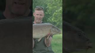 So läufts nach der Laichzeit 🤩 karpfenangeln carpfishing fishing carp [upl. by Orelia]