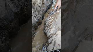 WOOW 😱 AMAZING GOLD PROSPECTING GOLD DISCOVERY GOLD RUSH GOLD PANNING GOLD HUNTER GOLDDISCOVERY [upl. by Lenahs8]