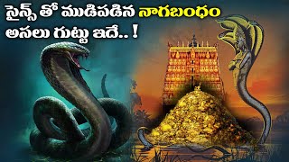 నాగబంధం మిస్టరీ  Nagabandham real story Analysis  The Secret of Nagas  Lost Technology hidden [upl. by Donal938]