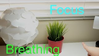 What is Focus Breathing [upl. by Orabelle]