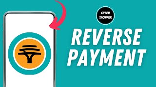 How To Reverse Payment On FNB App [upl. by Laddie]