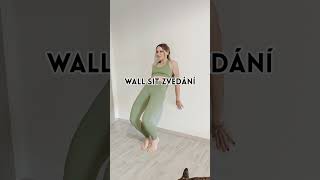 Cvičení u zdi pro začátečníky neboli wall pilates pilates barre exercise yoga wallsit cviceni [upl. by Nnarefinnej184]