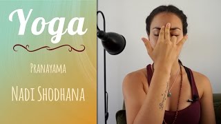 Pranayama Nadi Shodhana [upl. by Abbott333]