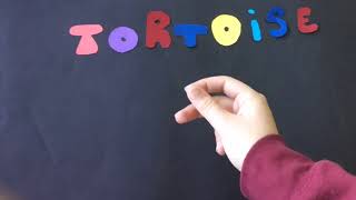 2º ESO  stop motion  notan tortoise [upl. by Uriel]