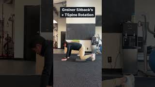 Quadruped Groiner Sitbacks  TSpine Rotation [upl. by Arykat]