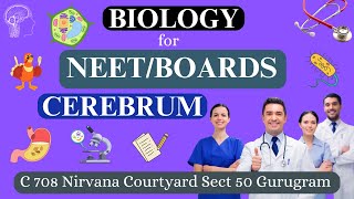 Biology Classes in Gurugram [upl. by Zacharie]