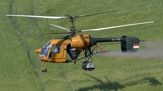 Kamov Ka26 spraying wheat field near Tab Hungary [upl. by Nilyad684]