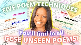 Five Literature Techniques Youll Find In ANY Unseen Poem  GCSE Poetry Devices  Free Revision Pack [upl. by Lennaj]