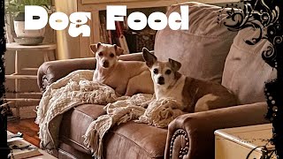 Homemade Dog Food For Less Than You Think [upl. by Nalym585]