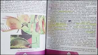 ONE SHOT LECTURE OF CHAPTER 10 FORMS amp FUNCTIONS IN PLANTSMDCAT PLANT PORTIONMDCAT SERIESPART1 [upl. by Oihsoy]