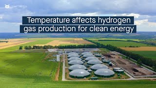 Hydrogen gas production from plant biomass is influenced by temperature effects on microbes [upl. by Earle790]