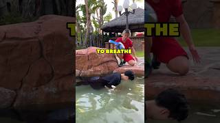 DROWNING PRANK ON ZHONG 🤣 [upl. by Anirac]