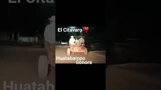 El Citavaro Huatabampo Sonora ❣️ pueblosdeméxico puehlosdesonora [upl. by Aita486]