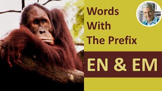 Words With the Prefix EN amp EM 7 Illustrated Examples [upl. by Editha]