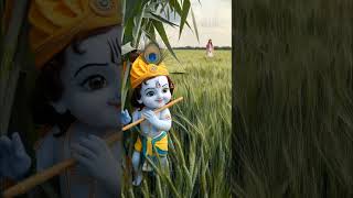 Manike mage hithe Radha krishna manikemagehithe  rap lovespiritualityshortsstatus [upl. by Eem]