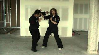 Sword of Destruction  American Kenpo Karate [upl. by Lanos36]