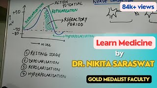 Nerve Conduction amp Action Potential  Depolarization Repolarization Transmission Nervous System [upl. by Len]