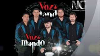 Voz De Mando quotAhora Resultaquot Version Radio Oficial [upl. by Lashondra]