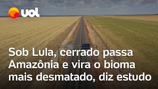 Sob Lula cerrado passa Amazônia e vira bioma mais desmatado aponta estudo [upl. by Letitia689]