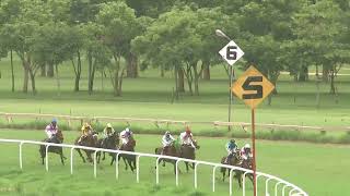 PERFECT EMPRESS with Angad up wins The Takshashila Plate Div2 2024 [upl. by Brad]