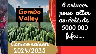 Gombo de contresaison  6 conditions incontournables pour glaner des millions [upl. by Shuma]