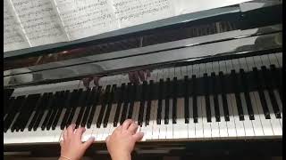 Tombe La Neige Piano Cover  Salvatore Adamo [upl. by Farley352]