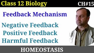 Feedback Mechanism  Types Of Feedback Mechanism  Negative Positive and Harmful Feedback mechanism [upl. by Annoiek]