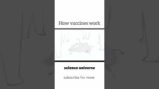 How vaccine works  funnyshorts biology 1million viralshorts [upl. by Ahsinrac343]