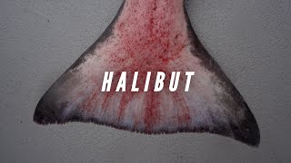 HALIBUT FISHING  THE MOST EPIC VIDEO YOU WILL EVER SEE halibut fishing [upl. by Towne]