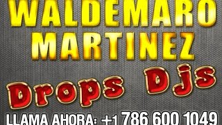 WALDEMARO MARTINEZ  DJs Drops [upl. by Vokaay965]