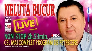 NELUTA BUCUR  Petrecere Live 2016 oficial audio [upl. by Aihtnic]