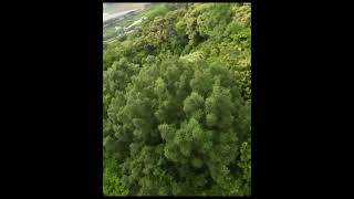 Relaxing Drone DiveCinerace20 V2 drone fpv dji djio3 fpvdrone flywoo dronelife cinematic [upl. by Cordula741]