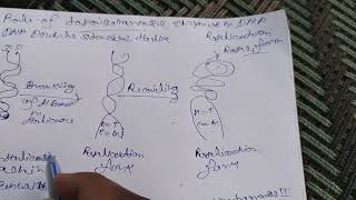 Role of topoisomerase enzyme in DNA Replication [upl. by Jelene]