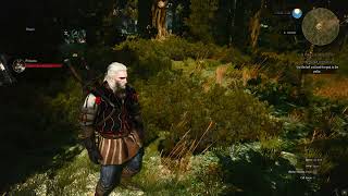 The Witcher 3  Act10 [upl. by Lombardy]