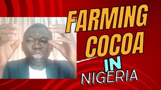 How to start cocoa farming in Nigeria [upl. by Leake770]