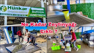 243 Kilo Zeytinden Bakın Kaç Kilo Zeytinyağı Çıktı  Osmaniye Sumbas [upl. by Philemon795]