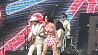 Hot amp Cold  Katy Perry Live Capital Summertime Ball London 2009 [upl. by Elboa470]