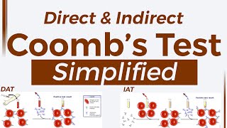 Coombs test  Made Simple to understand that you never forget again [upl. by Haynes]