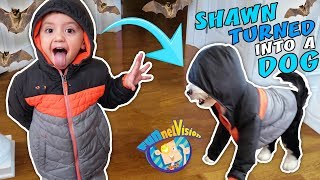 SHAWN turns into PUPPY Oreo  Secret Bat Cave Hideout FUNnel Family Vlog [upl. by Steady647]