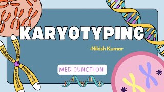 KARYOTYPING GENETICS1113 [upl. by Maxia]