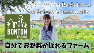 【Bonton Farms】自分でお野菜が採れるファーム 107 Where to harvest in Dallas [upl. by Noyes370]