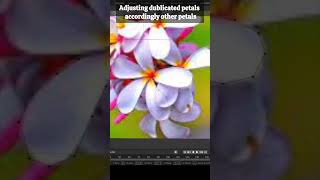 Create Stunning Flower Petals in Blender A Quick and Easy Tutorial [upl. by Tullus]