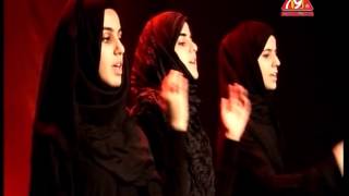 Ya Hussain Hussain Hashim Sisters New 201314 Noha [upl. by Ettenirt]