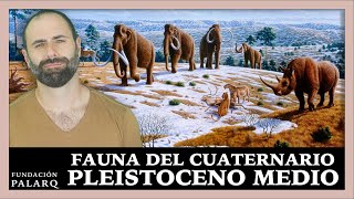 Fauna del Cuaternario Pleistoceno Medio [upl. by Enywtna]