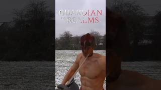 Getting BRUTAL in The Snow 😱 Guardian of Realms [upl. by Ahsiken]