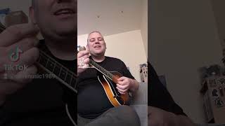 The Fields of Athenry  The Dubliners Cover [upl. by Agace]