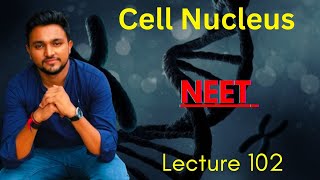 Chromosome  રંગસૂત્ર  Chromatin  રંગસૂત્રદ્રવ્ય  Cell Biology  NEET [upl. by Sharl]