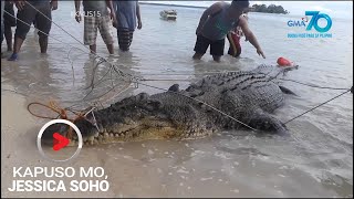 Kapuso Mo Jessica Soho Dambuhalang buwaya nahuli sa Simunul Tawitawi [upl. by Anallese]