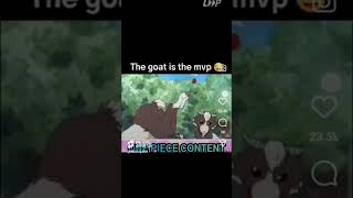 One Piece Funny Moments [upl. by Forta]